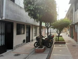 伊瓦格Casa Blanca的停在建筑物旁边的一棵树旁的摩托车
