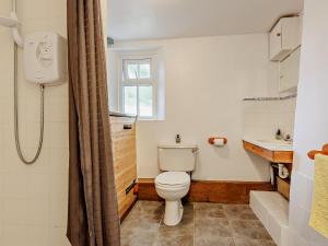 Cemmaes3 Bed in Machynlleth 93080的一间带卫生间和水槽的浴室