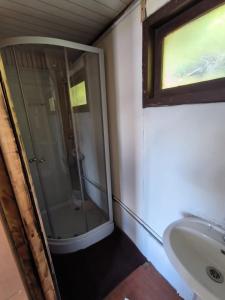 威廉斯港Refugio Jemmy Button的一间带玻璃淋浴和水槽的浴室