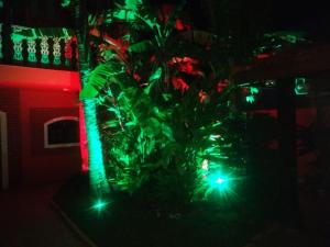 瓜鲁雅Castelinho do Felix Guarujá Pernambuco的一座房子前面绿灯的圣诞树