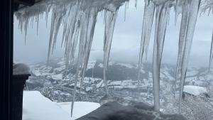 基茨比厄尔Hocheckhuette On Top of the Kitzbuehel Hahnenkamm Mountain的挂在窗户上的一束 ⁇ 