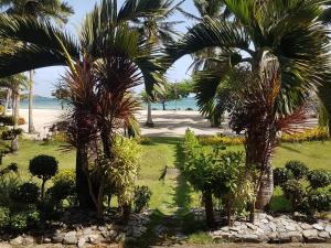 RomblonAglicay Beach Resort的棕榈树和海滩花园
