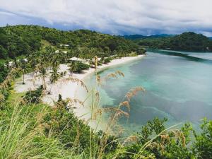 RomblonAglicay Beach Resort的享有棕榈树海滩和大海的景色