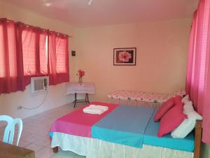 RomblonAglicay Beach Resort的一间卧室配有一张带粉红色和蓝色床单的床