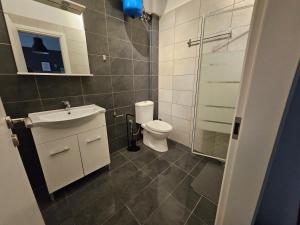 雅典A Place 4 U no22的浴室配有卫生间、盥洗盆和淋浴。