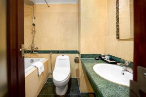 河内EDEN HOTEL HÀ NỘI的一间带卫生间和水槽的浴室