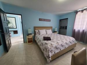 下维加Near Beach, Rivers, Lagoon, Spring, Sleep up to 22, 2nd Floor的一间卧室设有一张大床和蓝色的墙壁