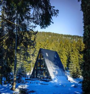 沃尔托普Black Chalet的雪中树林里的一个小小屋