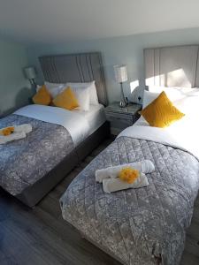 查尔斯敦Tiernan's luxury triple room Ensuite的卧室内两张并排的床