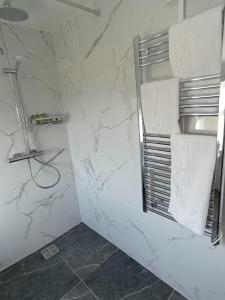查尔斯敦Tiernan's luxury triple room Ensuite的一间设有白色大理石墙壁和淋浴的浴室