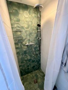 赞德沃特斯特兰笛兹赞德沃特酒店的带淋浴的浴室,铺有绿色瓷砖地板。