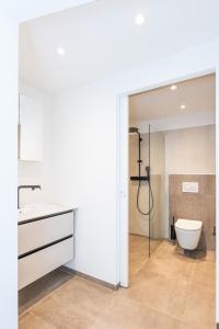 特里森2,5 Zimmer Ferienwohnung mit Küche/Bad的带淋浴、卫生间和盥洗盆的浴室
