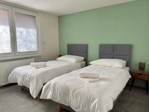 沙莫林Apartmán Olívia的带2扇窗户的客房内的2张床