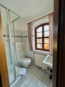 包岑阿尔特格伯莱酒店的浴室配有卫生间、淋浴和盥洗盆。