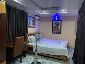 伊巴丹Umbrella properties - Eleyele Ibadan的客房设有床、书桌和风扇。