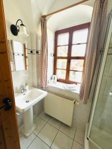 包岑阿尔特格伯莱酒店的一间带水槽和淋浴的浴室以及窗户。
