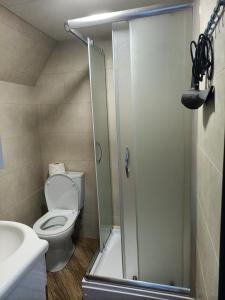 第比利斯Ze Oni Glamping的带淋浴、卫生间和盥洗盆的浴室
