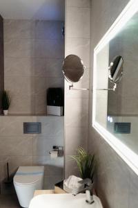 塞格德RIVA Boutique Hotel的一间带卫生间、水槽和镜子的浴室