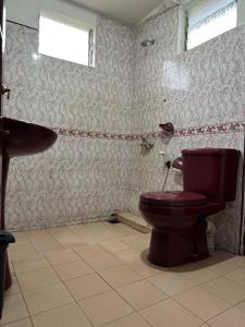 努沃勒埃利耶Princess Bungalows的一间带卫生间和水槽的浴室