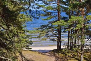 梅恩塞尔斯Trommeļa brīvdienu mājiņas-kempings的透过树林欣赏海滩美景