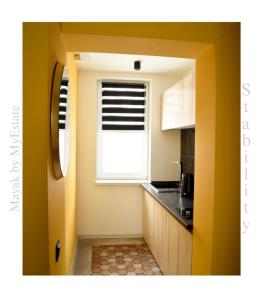 亚布卢尼齐亚Aparthotel "Mayak Yablunytsia"的一个带窗户和水槽的小厨房