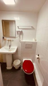 巴黎杰夫酒店的一间带红色卫生间和水槽的浴室