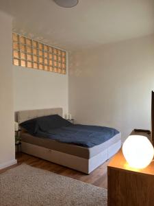 布达佩斯City Green Little Flat的一间卧室配有一张带蓝色毯子的床