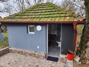 莱斯科瓦茨Kouca的绿色屋顶的蓝色小房子