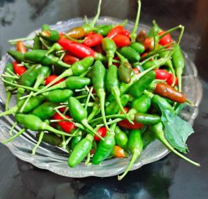 德维科拉姆Suryas Home Stay的盘子里一大堆青椒和其他蔬菜