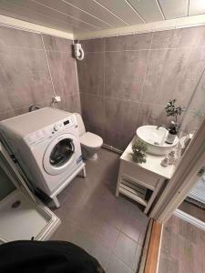 索尔瓦根KB Basement Apartment的一间带洗衣机和卫生间的浴室