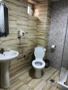 亚历山德里亚Motel Potcoava de Aur的一间带卫生间和水槽的浴室