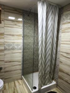 亚历山德里亚Motel Potcoava de Aur的浴室里设有玻璃门淋浴