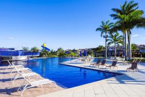 大坎皮纳花园酒店的一个带椅子和棕榈树的大型游泳池
