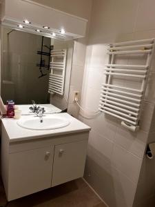 德帕内Appartement Sainte-Cécile的一间带水槽和镜子的浴室