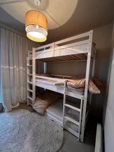德帕内Appartement Sainte-Cécile的客房设有2张双层床和光线