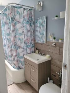 布鲁克林Brooklyn Flat Tropical Vibe的一间带水槽和淋浴帘的浴室