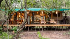 SekenaniSoroi Luxury Migration Camp的蓝色屋顶林地的房子