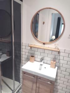 布鲁塞尔德莫特住宿加早餐旅馆的一间带水槽和镜子的浴室