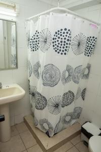 安托法加斯塔Hotel NIKYASAN的一个带水槽的浴室内的淋浴帘