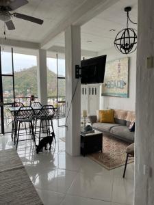 巴亚尔塔港Casa Estrella的一只猫在客厅里散步,客厅里配有沙发