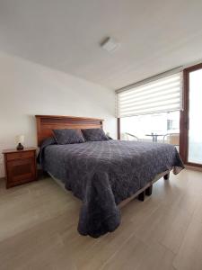 特木科Claro Centro Temuco的一间卧室设有一张大床和一个大窗户