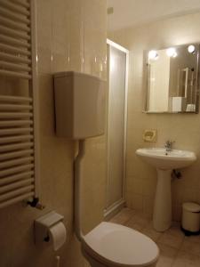 瓦拉泽圣保罗酒店 的一间带卫生间和水槽的小浴室