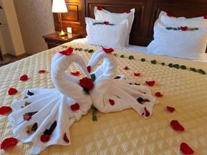 拉姆尼库沃尔恰索菲亚努大酒店的两个天鹅,用玫瑰制成,睡在床上
