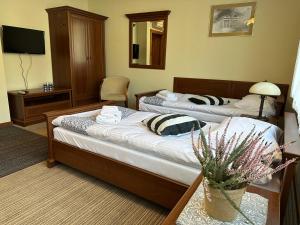 伊沃尼奇-兹德鲁伊GLORIETTA Apartments & SPA的一间酒店客房,设有两张床和电视