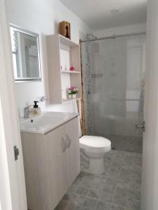 圣罗莎德卡瓦尔Apartamento 3 hab 2 baños的浴室配有卫生间、盥洗盆和淋浴。