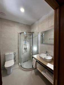 巴库里阿尼BANOVANI Bakuriani的带淋浴、卫生间和盥洗盆的浴室