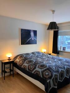 阿克雷里Great apartment in Akureyri的卧室配有一张床,墙上挂着一幅画