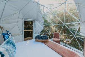 StormsriviermondThe Forest Dome by Once Upon a Dome @ Misty Mountain Reserve的圆顶帐篷内一间卧室(带一张床)