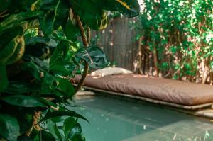 圣维罗尼卡Eco Xata的树叶上挂着一张床
