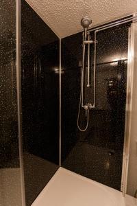 布里真德伊维尼农场旅馆的带淋浴的浴室,带玻璃门